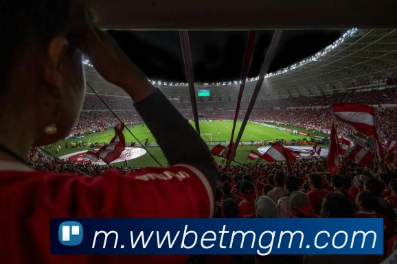 美高梅mgmAPP 高清赛事图